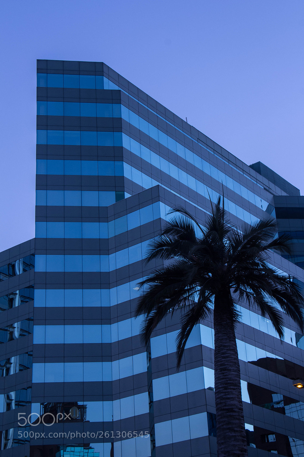Canon EOS 700D (EOS Rebel T5i / EOS Kiss X7i) sample photo. Building and palm tree photography