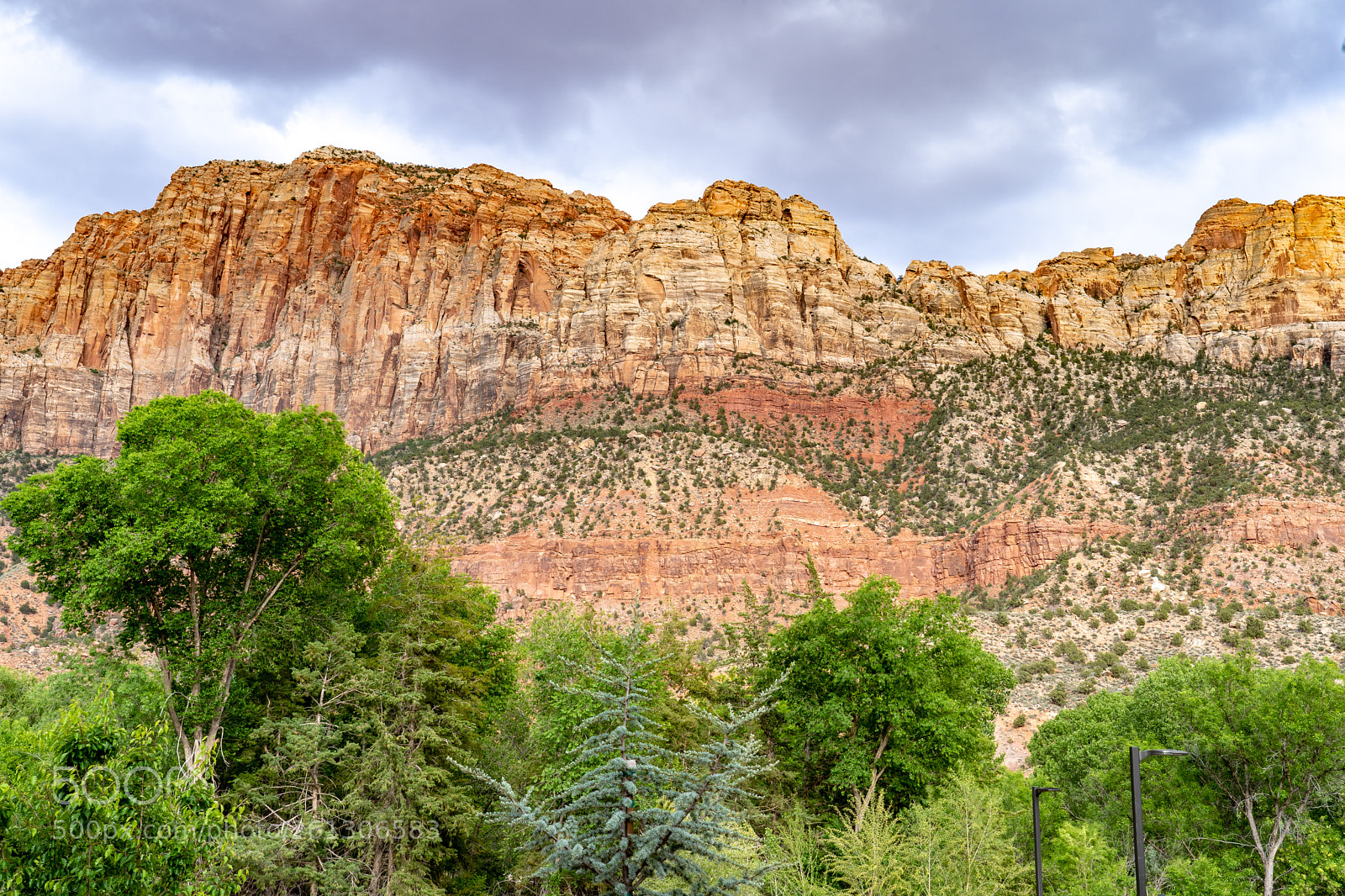 Sony a7 III sample photo. Zion national park photography