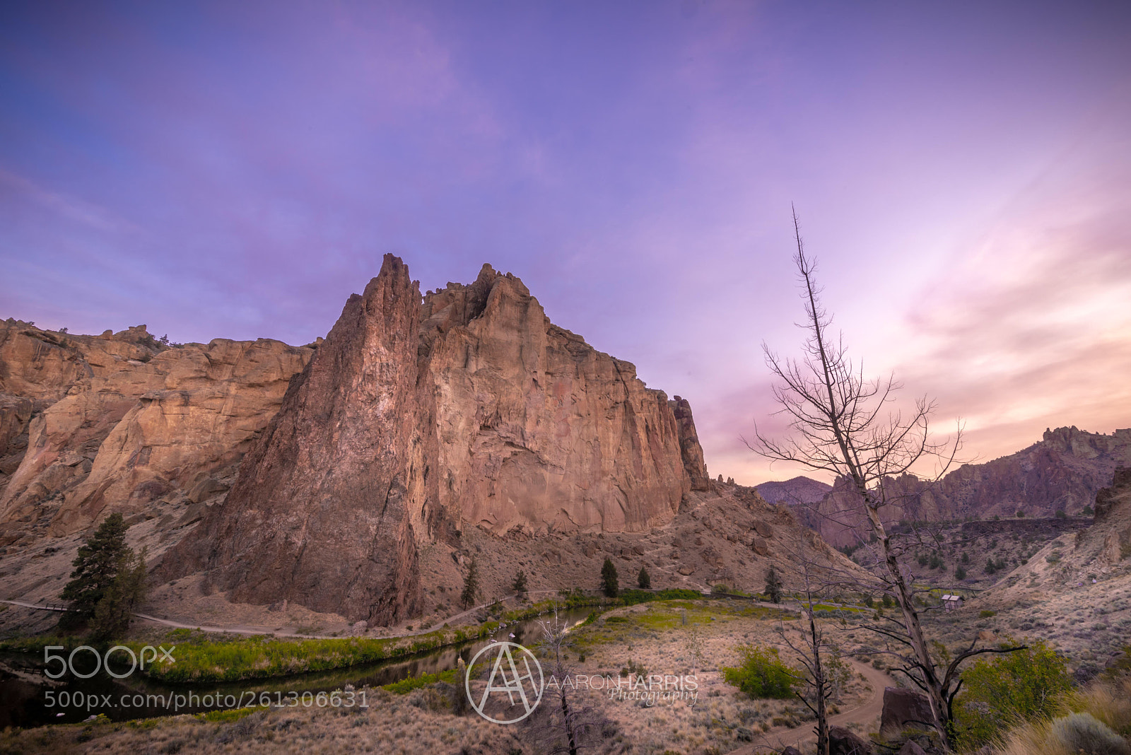 Nikon D750 sample photo. A sweet morning sunrise photography