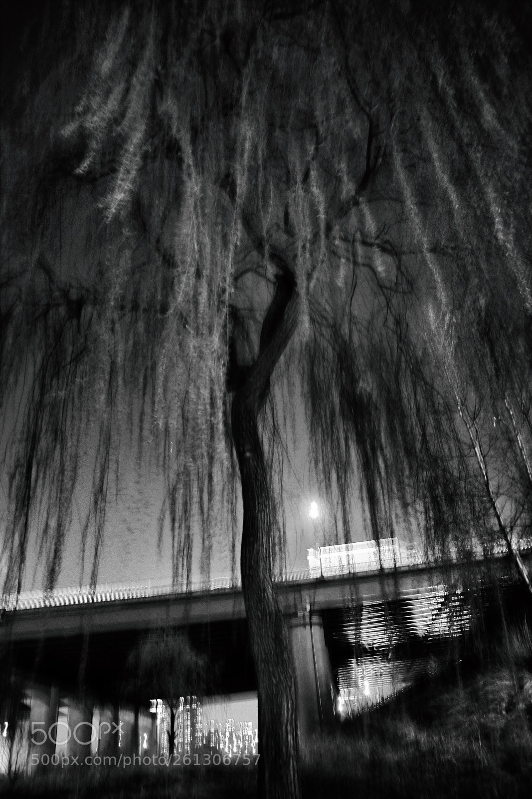 Canon EOS 7D sample photo. Run away. photography