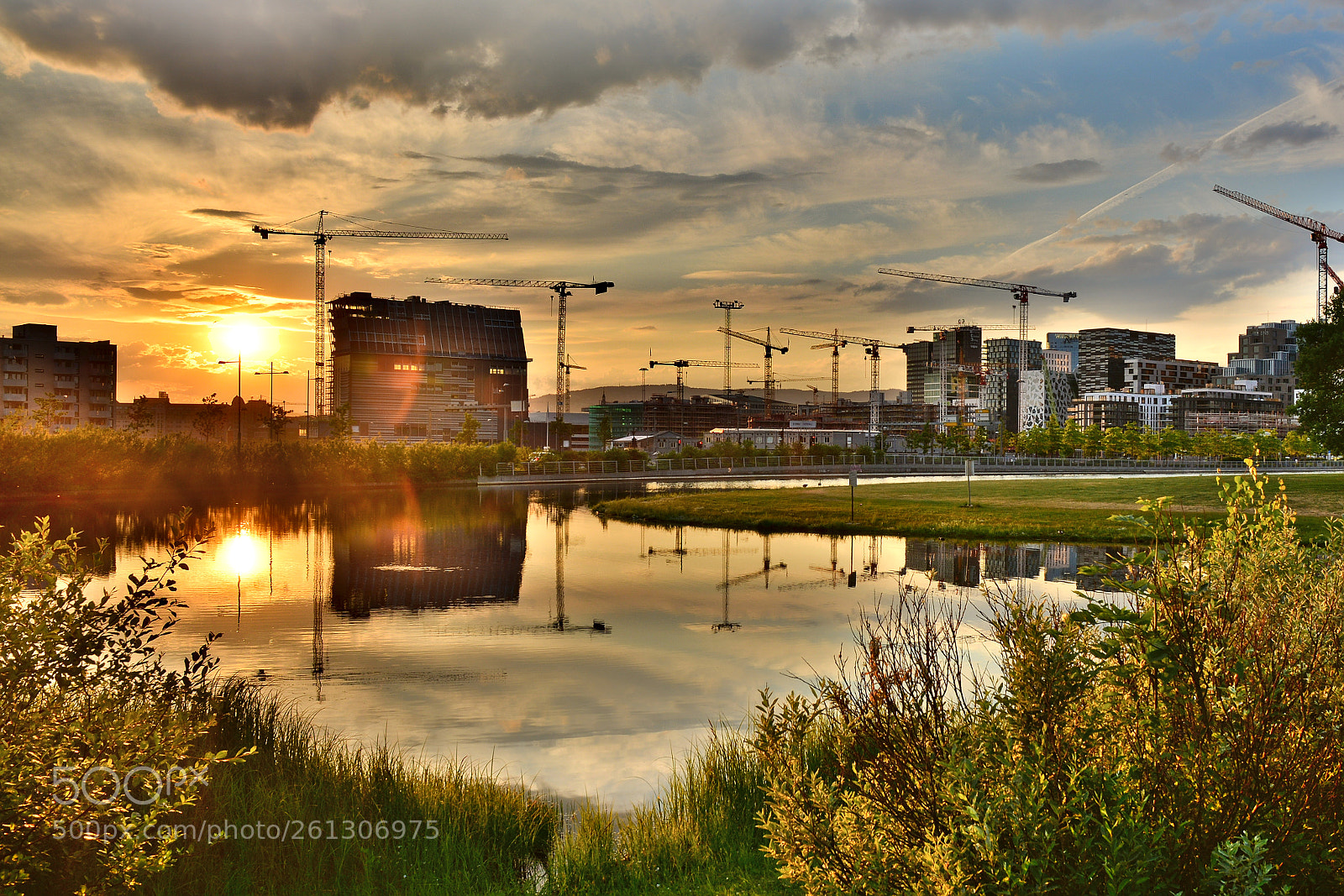 Nikon D5200 sample photo. Cranes photography