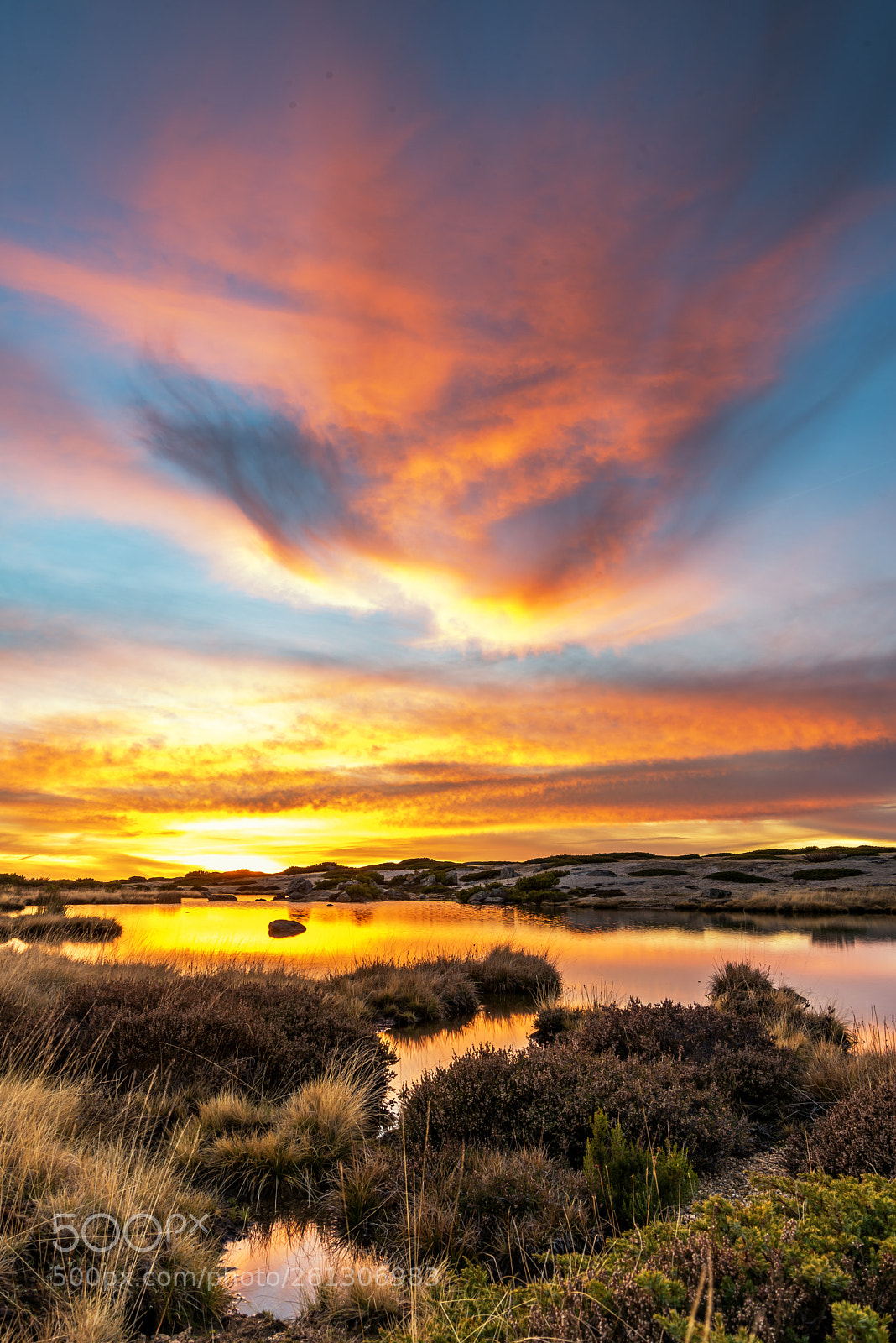 Nikon D610 sample photo. Clouds and reflection photography
