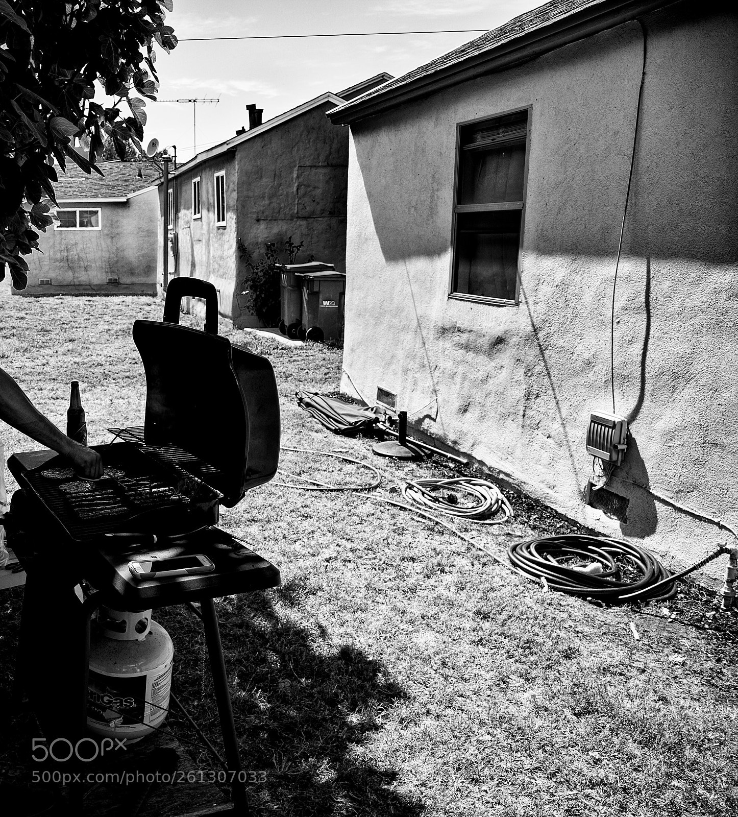 Canon EOS 5D Mark II sample photo. West sacramento 8 photography