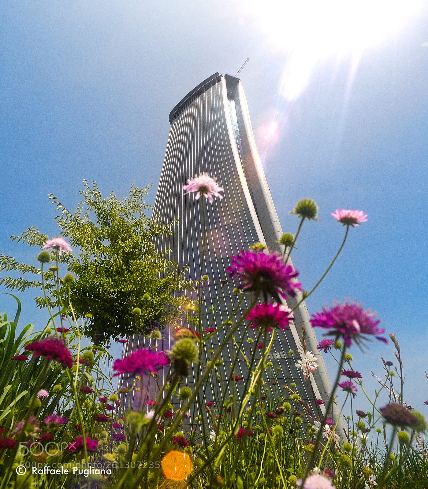 Nikon D3 sample photo. Torre hadid photography