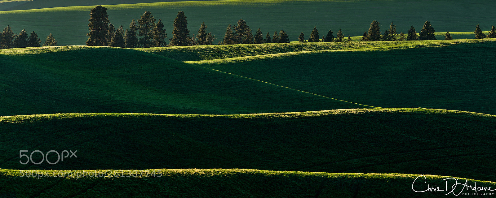 Sony a7R III sample photo. Rolling hills panorama photography