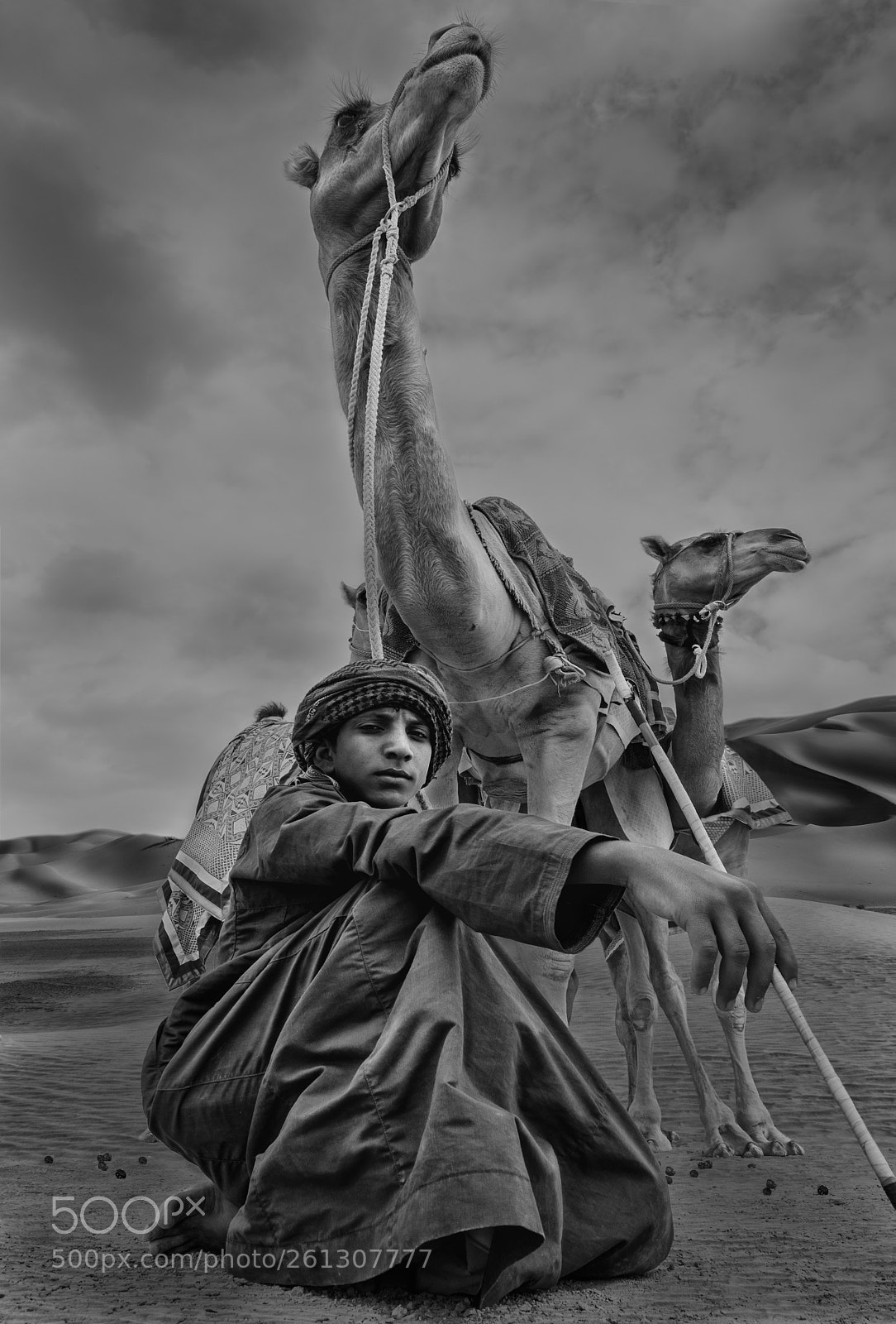 Nikon D7100 sample photo. Son of the desert photography