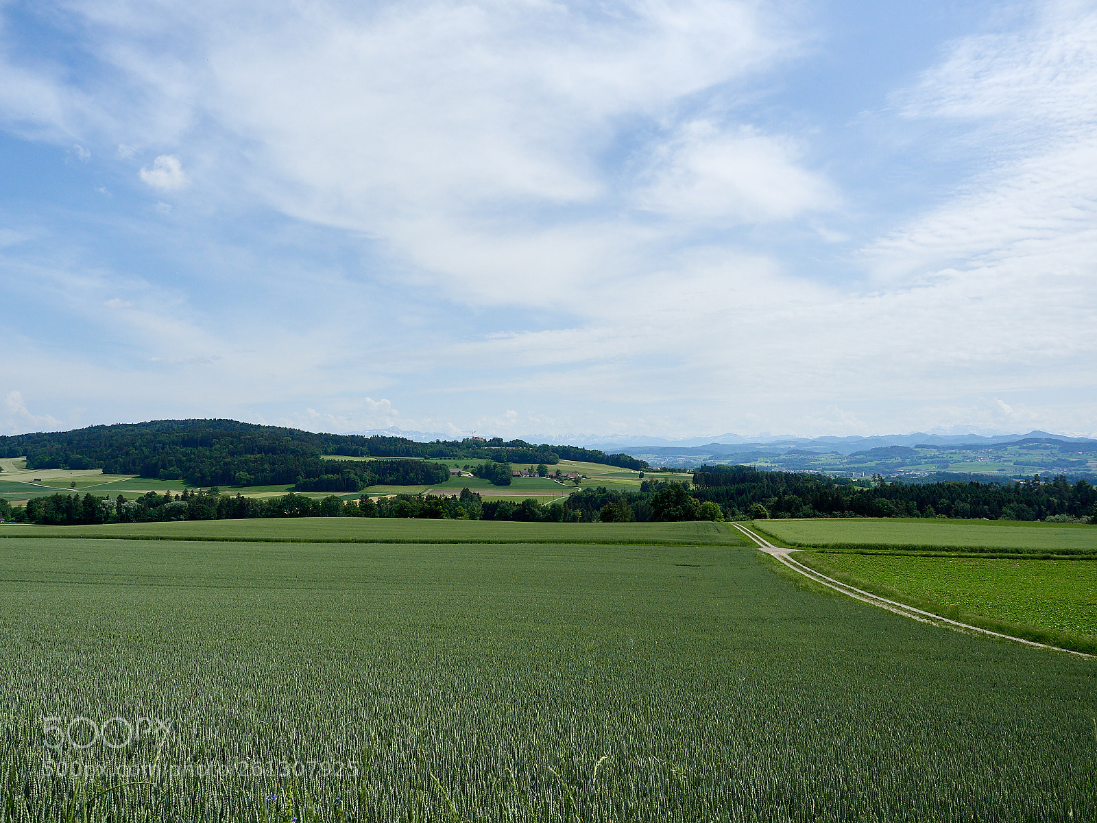 Olympus OM-D E-M1 Mark II sample photo. Green fields photography