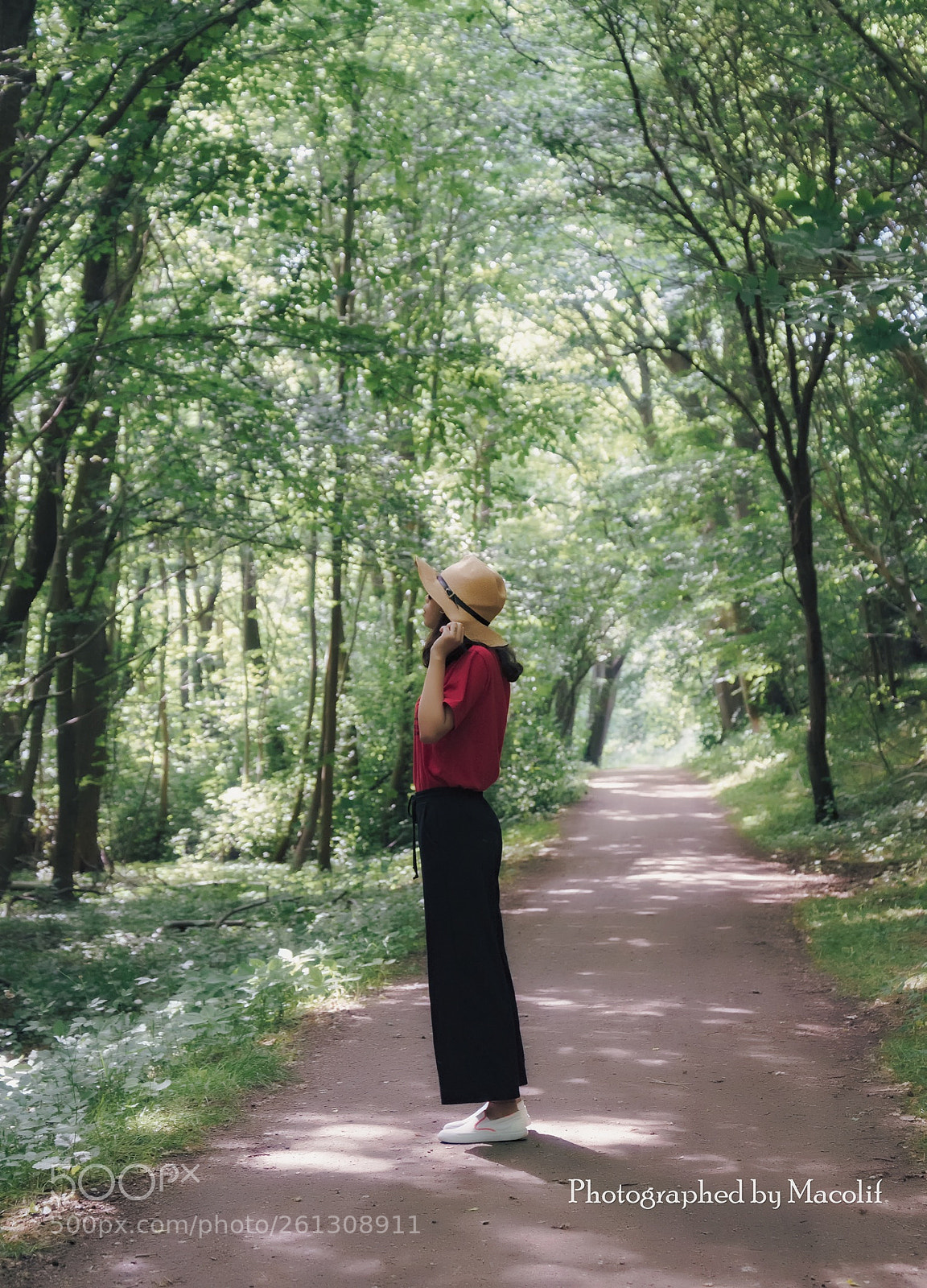 Nikon D750 sample photo. Untitled photography