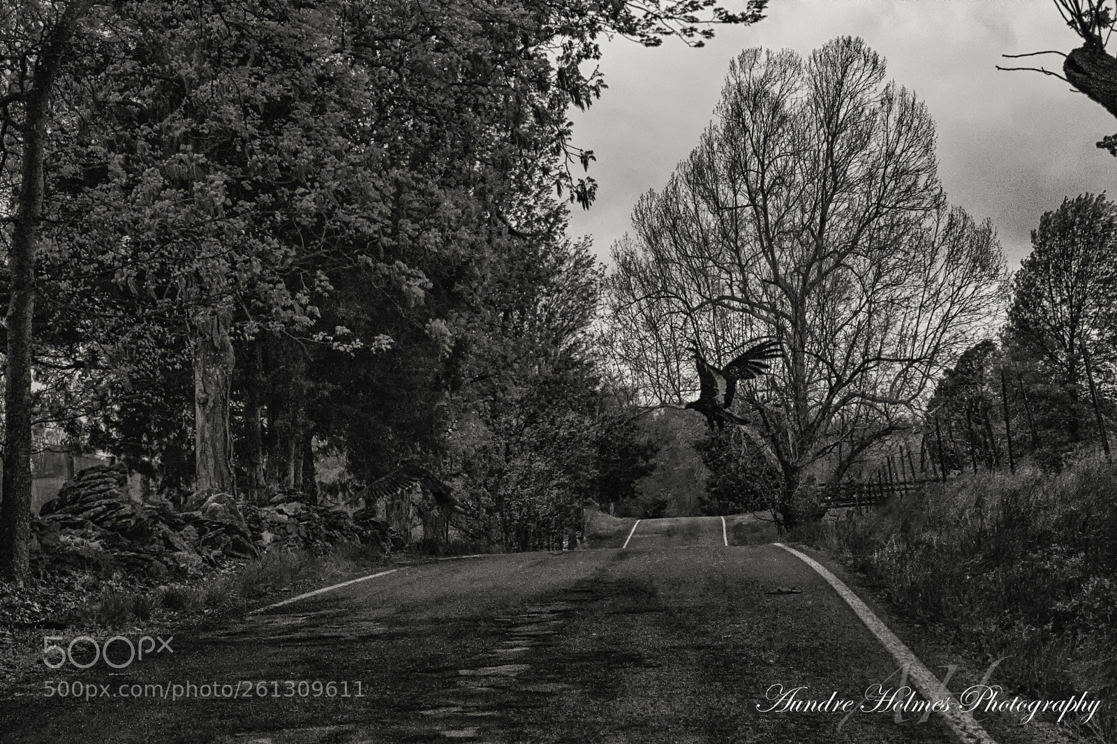 Canon EOS 7D sample photo. Country road photography