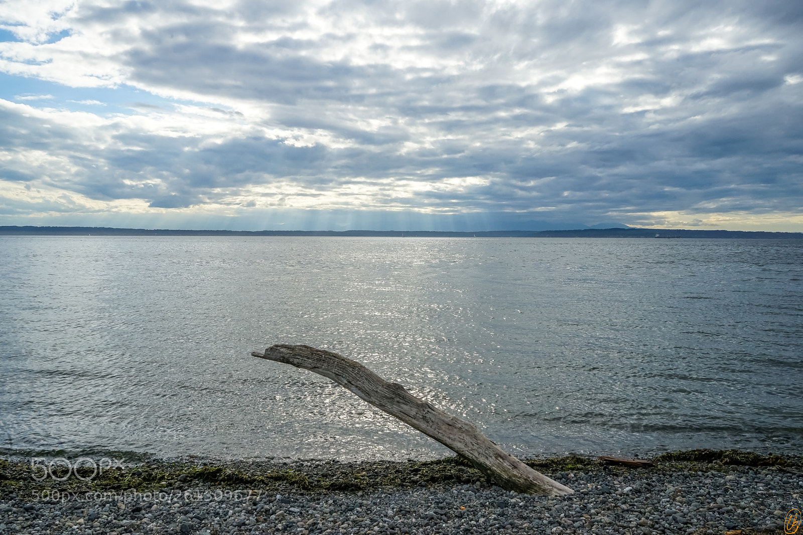 Sony a7 II sample photo. Puget sound photography