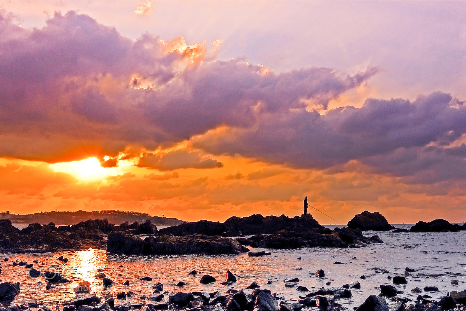 Nikon D700 sample photo. Morning photography