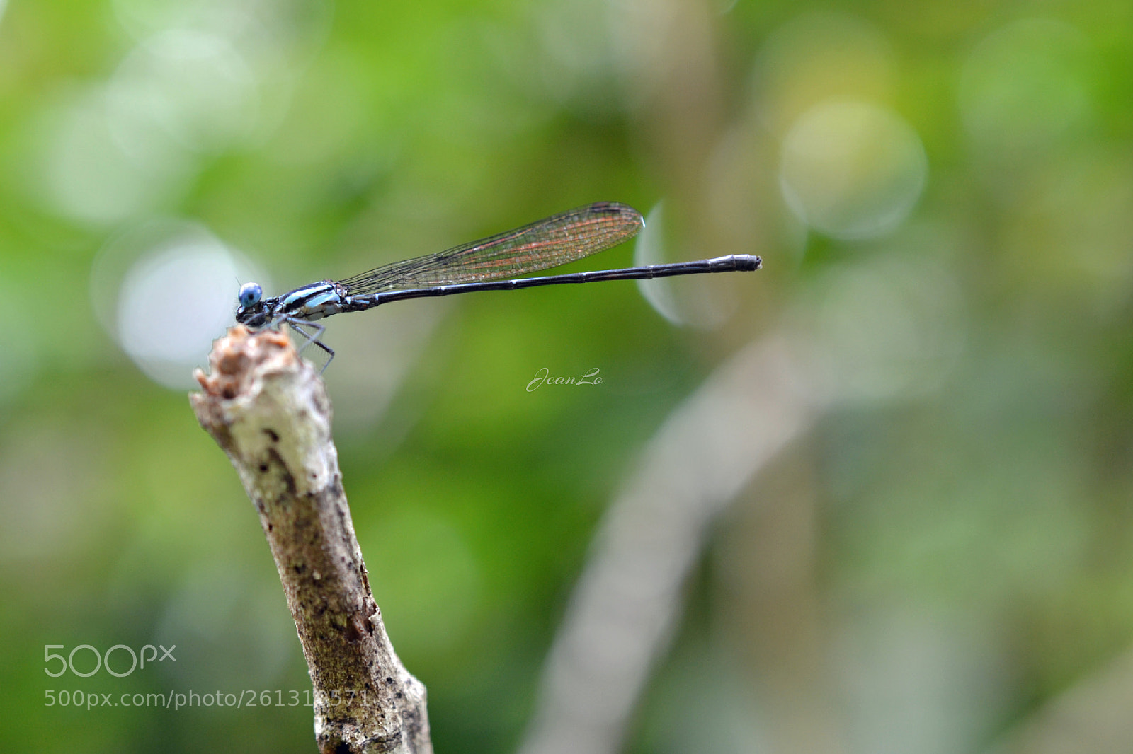 Nikon D3100 sample photo. Untitled photography