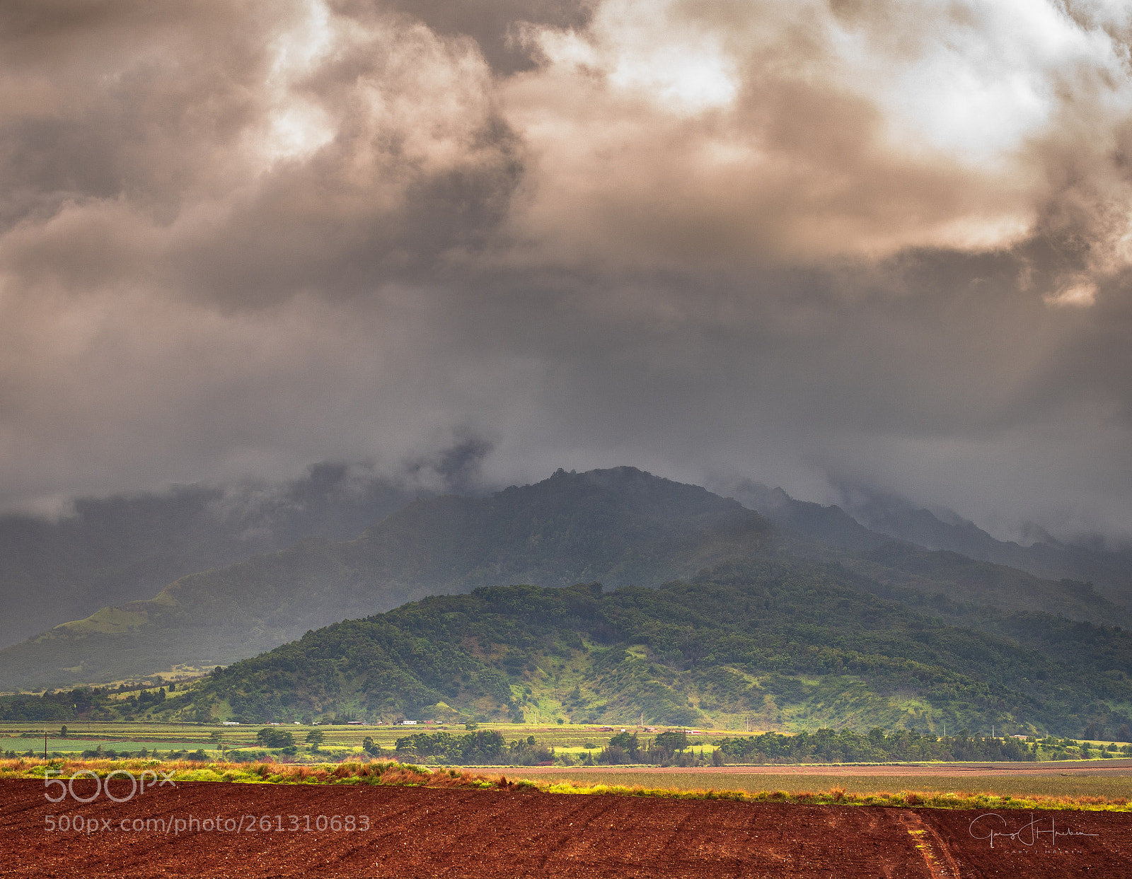 Nikon D810 sample photo. Storm on oahu photography