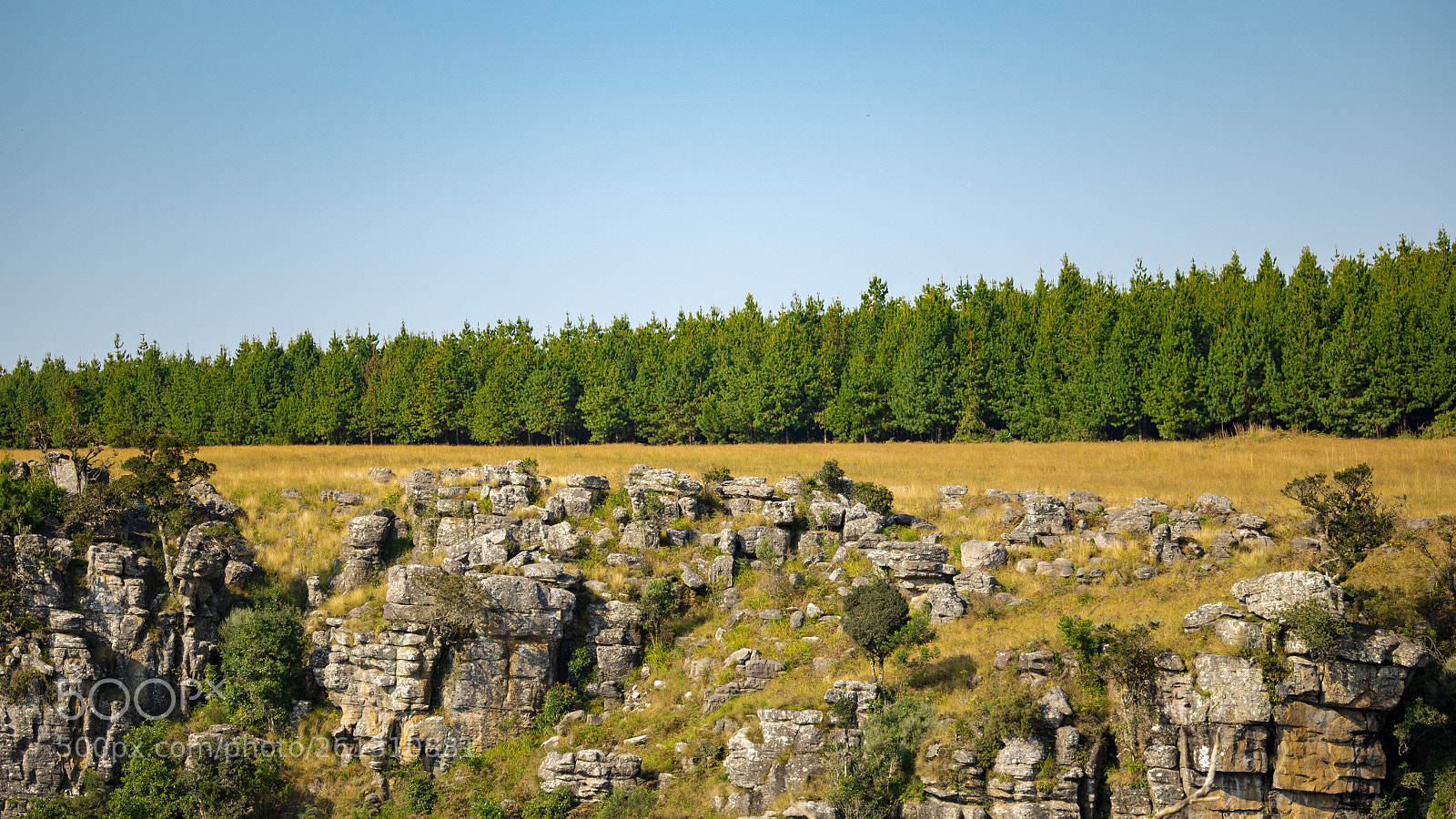 Canon EOS 750D (EOS Rebel T6i / EOS Kiss X8i) sample photo. Sky, trees and rocks photography