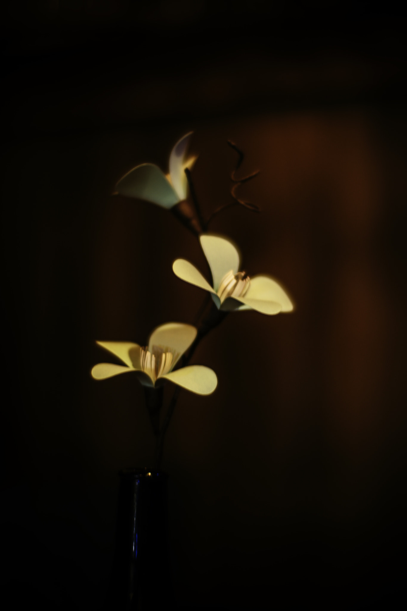 Sony a9 sample photo. Paper flowers. photography
