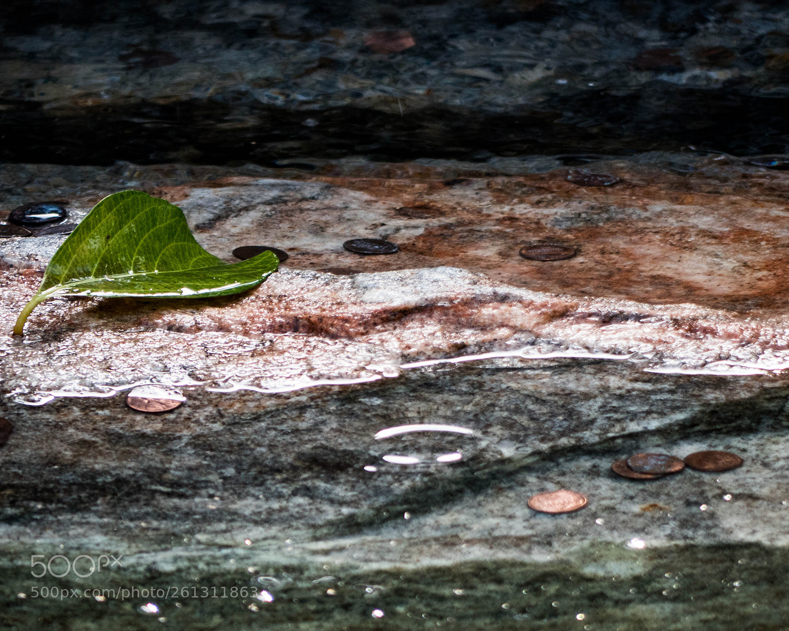 Panasonic Lumix DMC-GH4 sample photo. Bnb photos photography