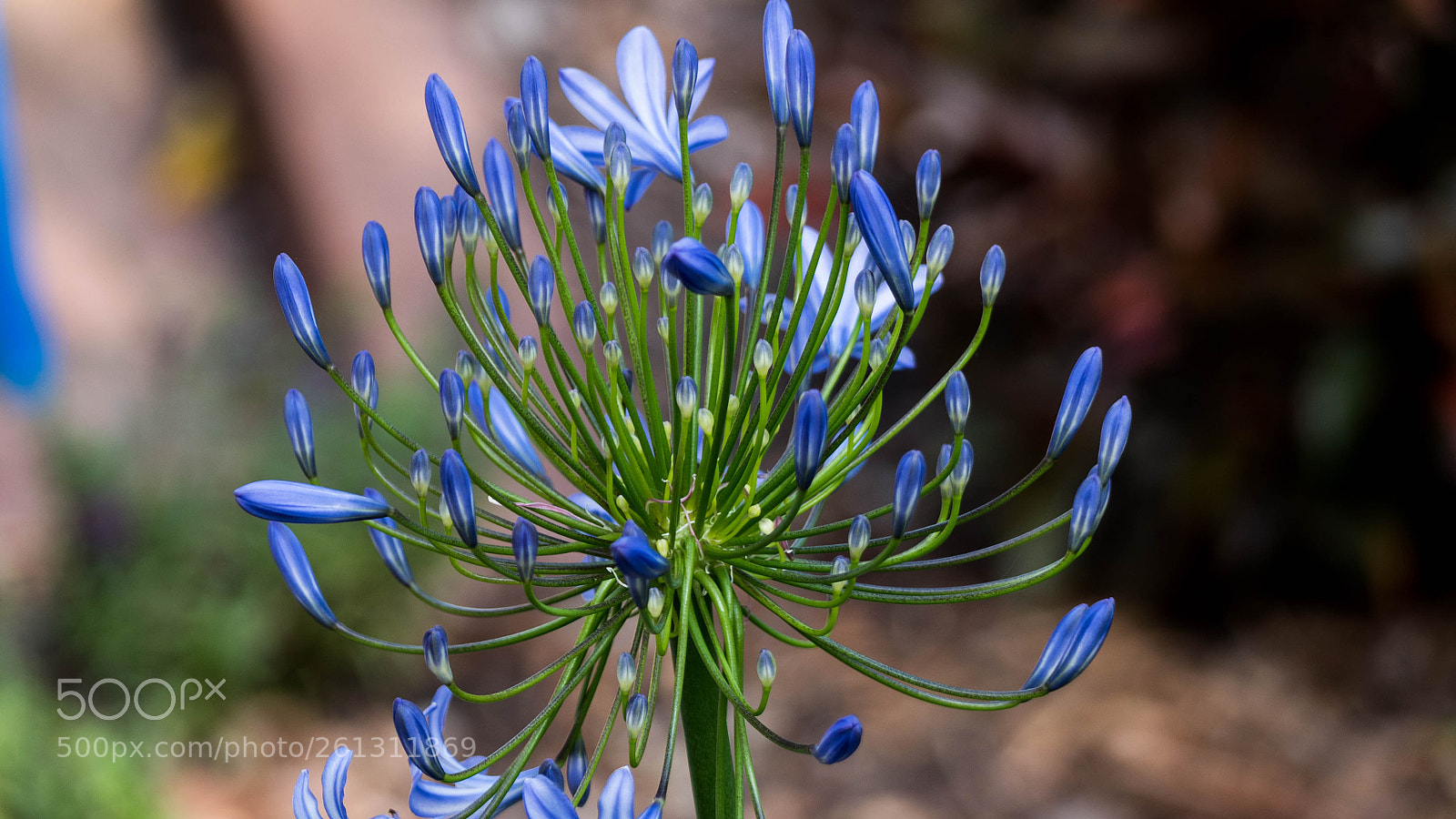 Panasonic Lumix DMC-GH4 sample photo. Bnb photos photography
