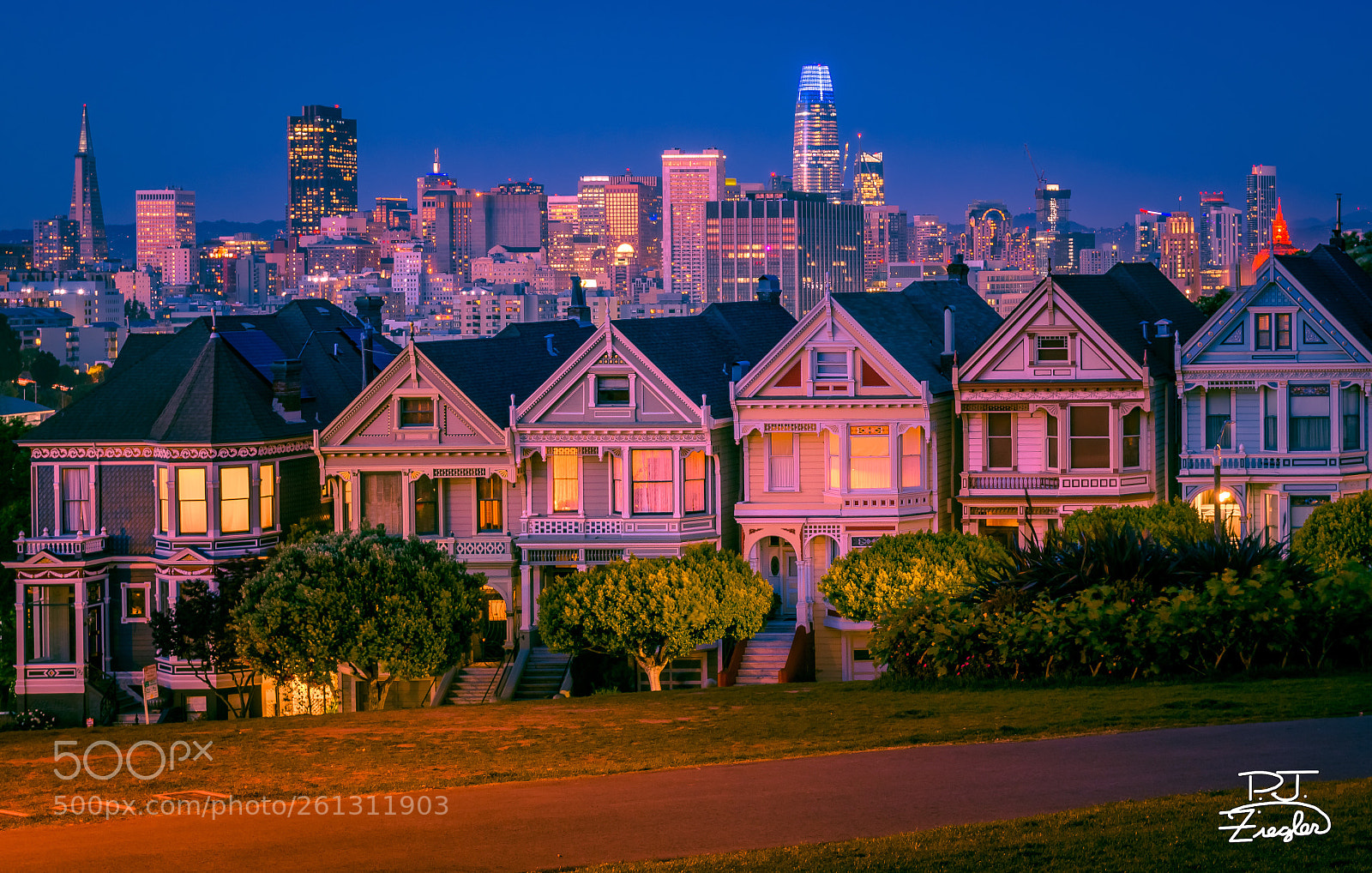 Nikon D500 sample photo. Painted ladies photography