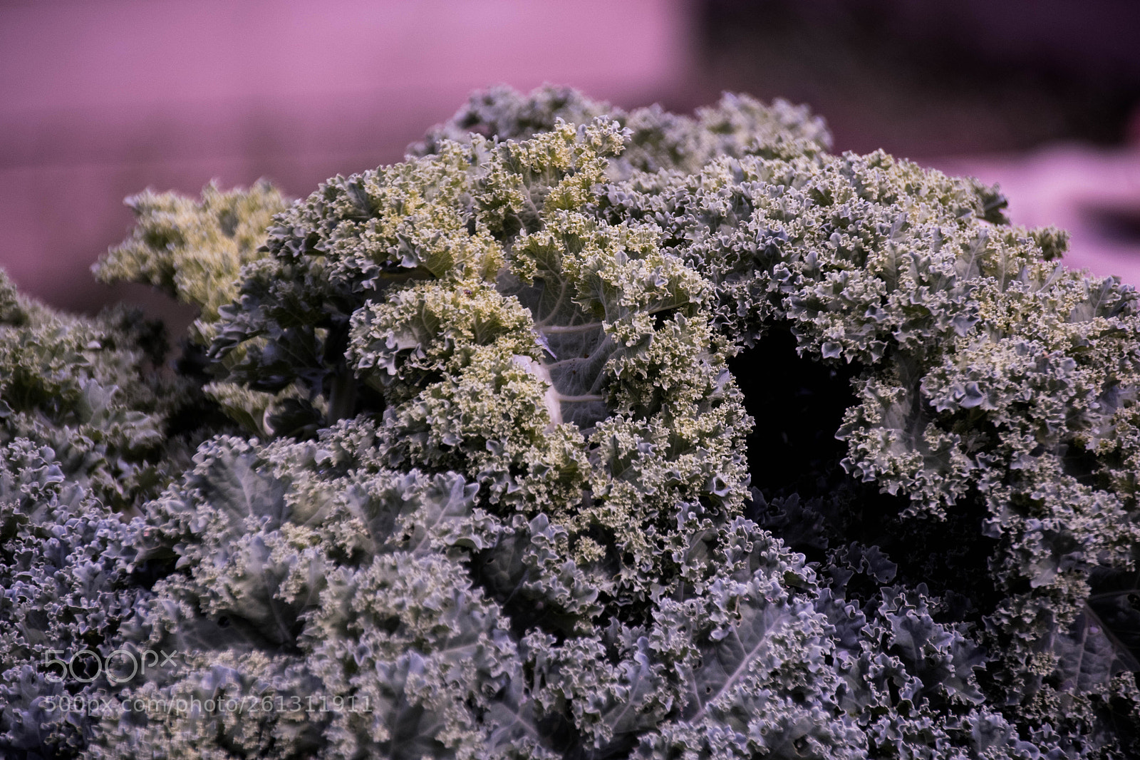 Nikon D500 sample photo. Bnb photos photography