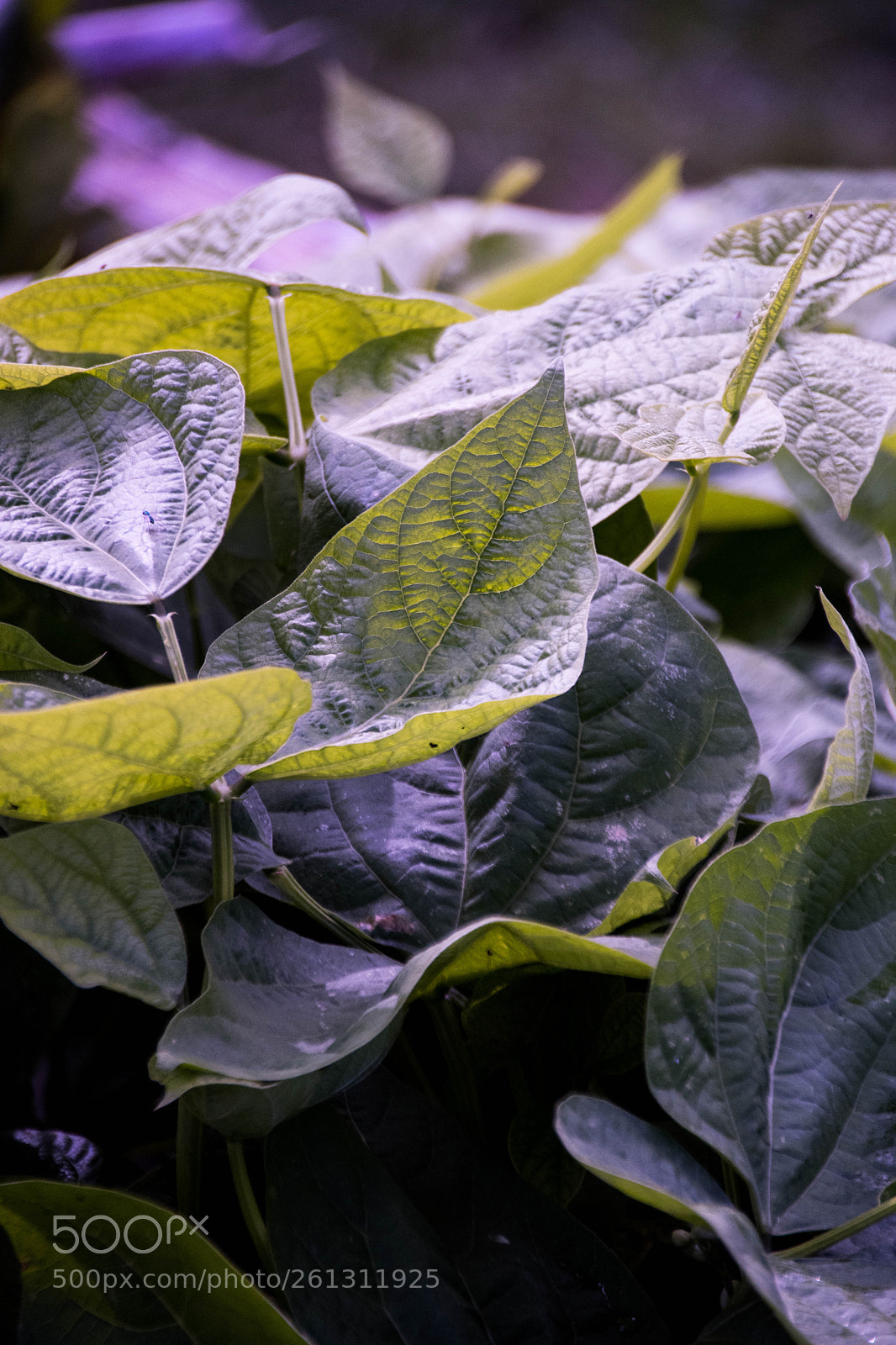 Nikon D500 sample photo. Bnb photos photography