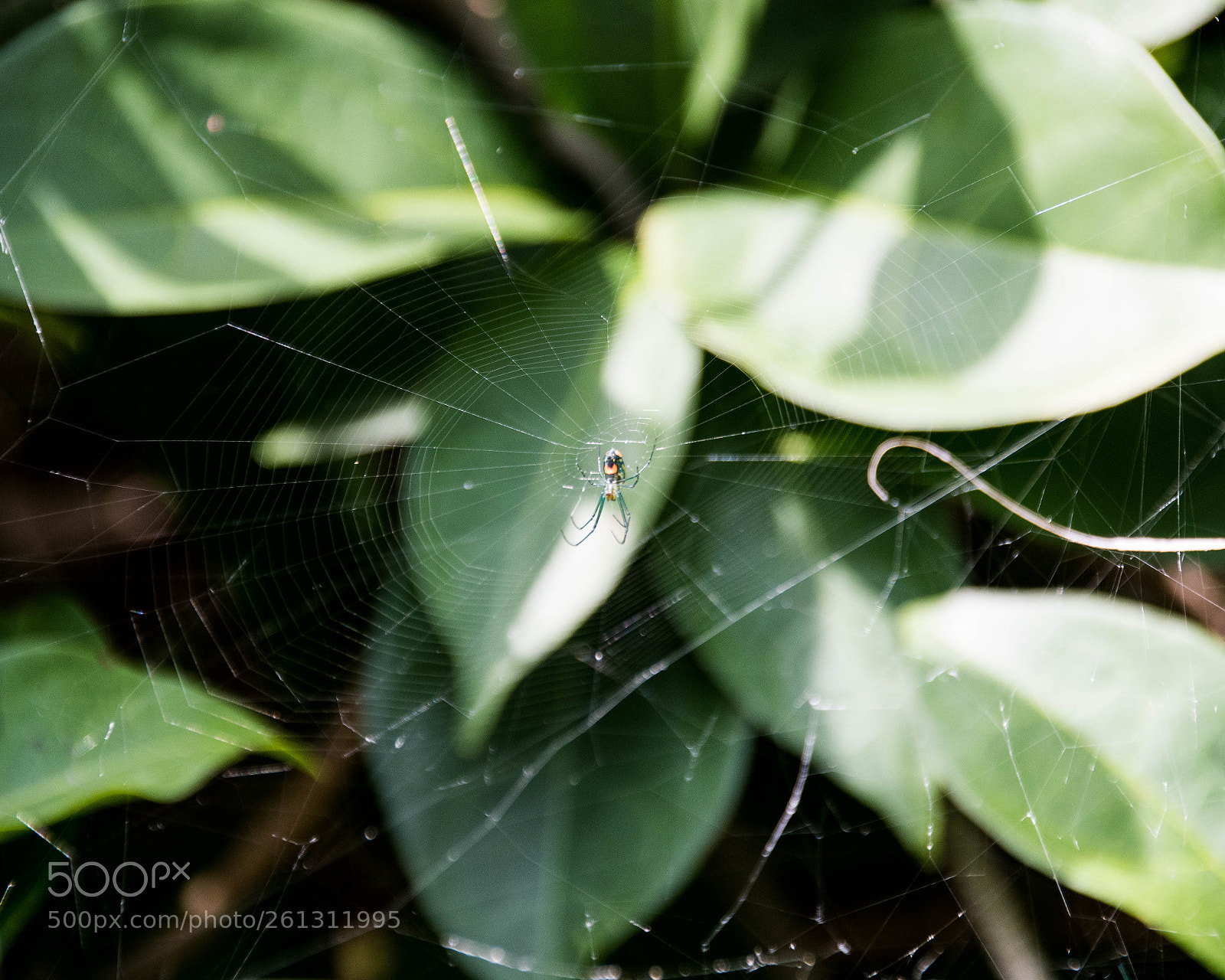 Nikon D500 sample photo. Bnb photos photography