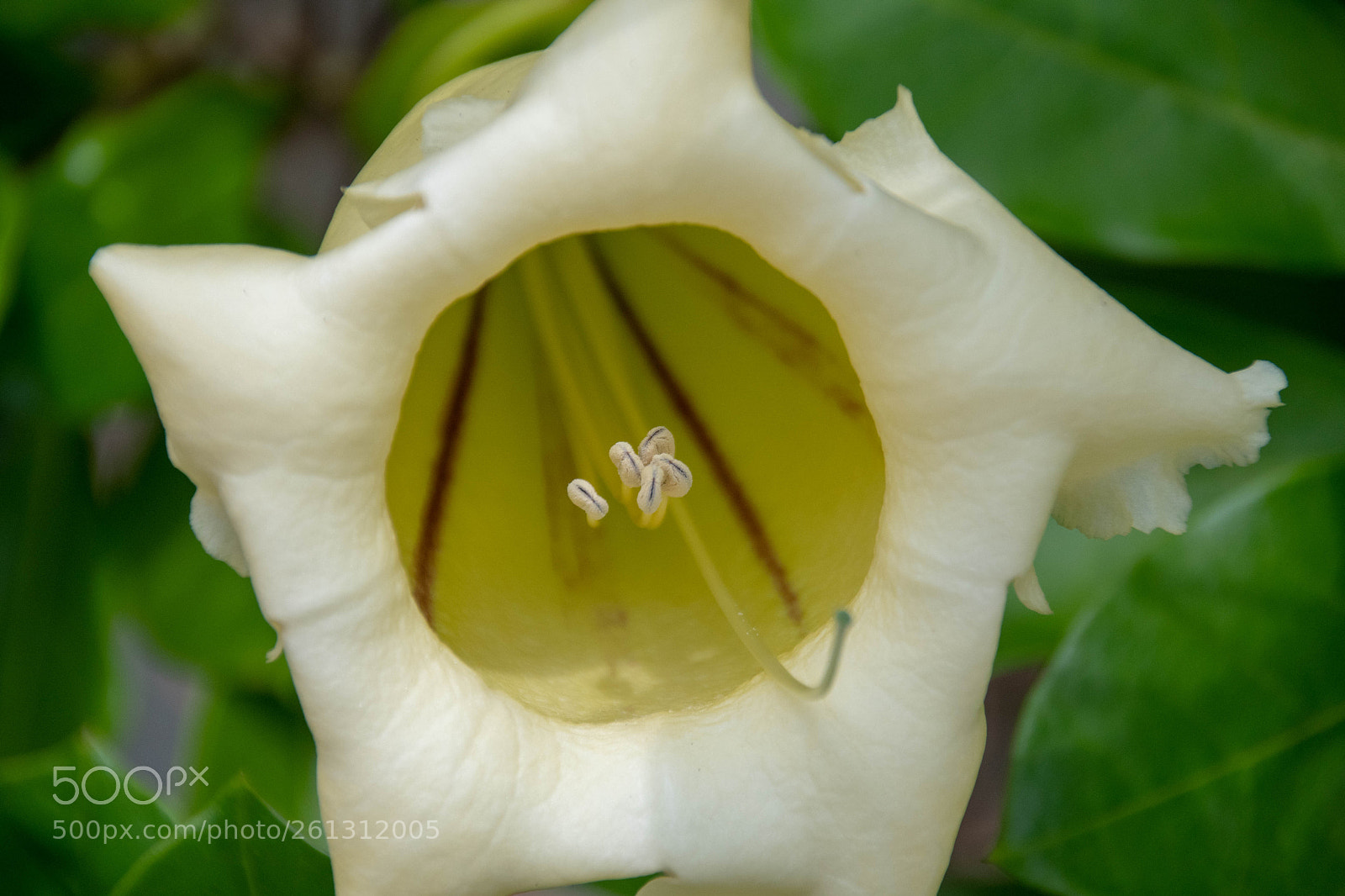Nikon D500 sample photo. Bnb photos photography