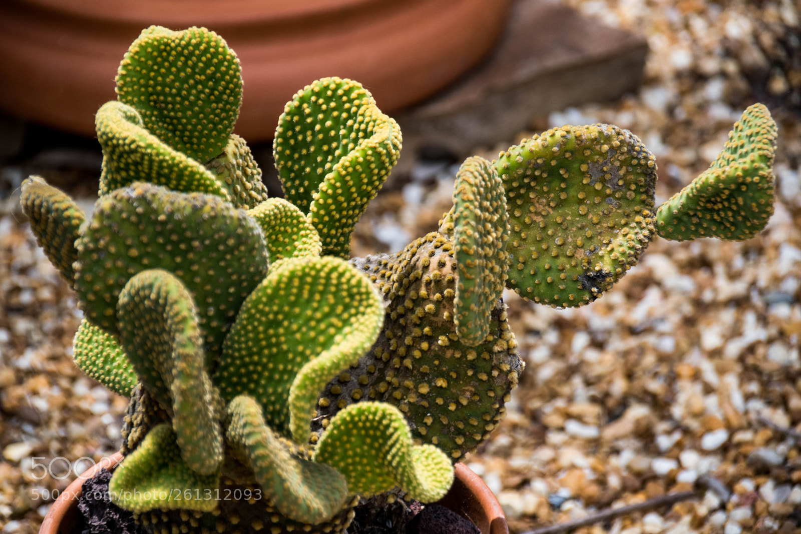 Nikon D500 sample photo. Bnb photos photography