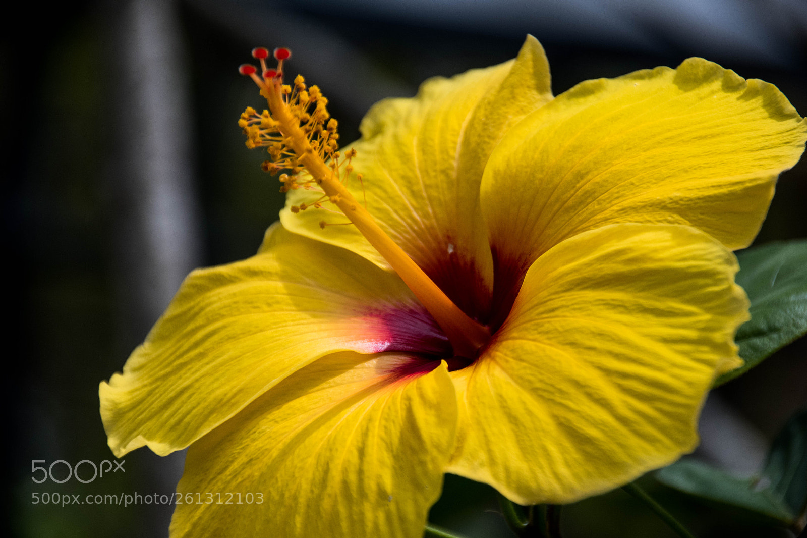Nikon D500 sample photo. Bnb photos photography