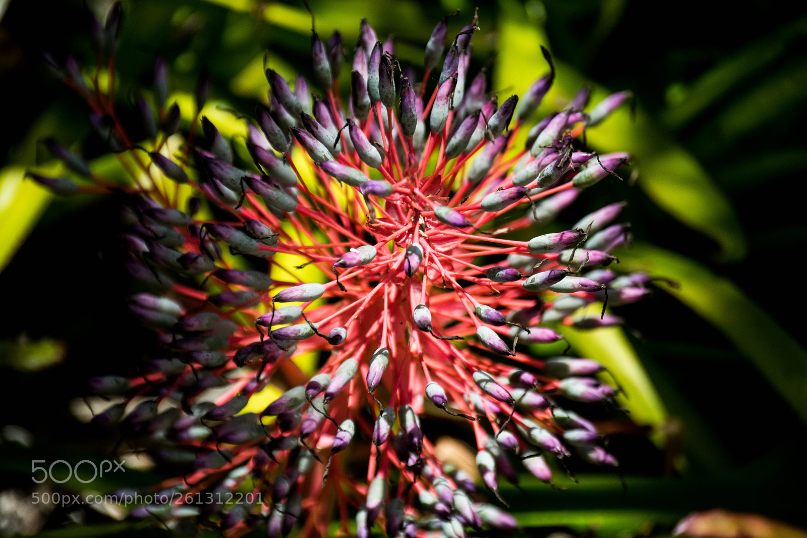Nikon D500 sample photo. Bnb photos photography