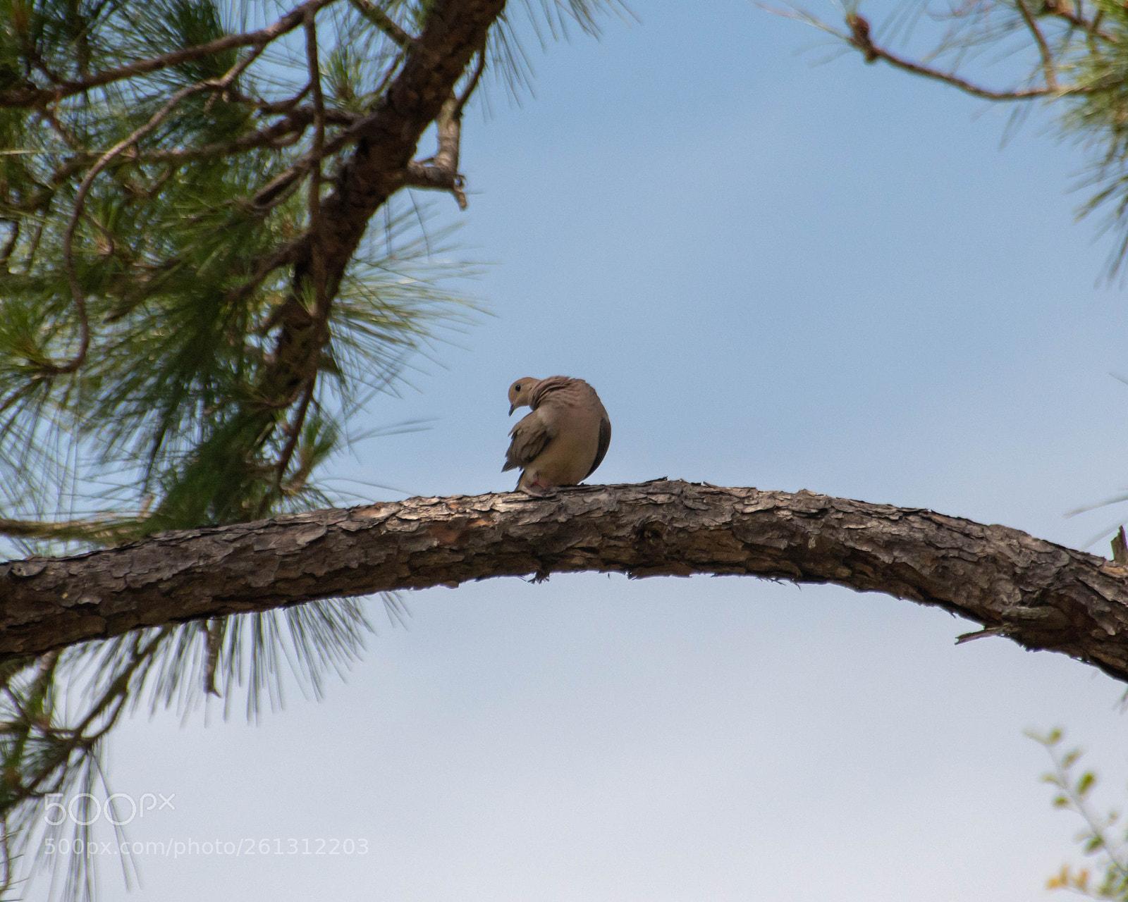Nikon D500 sample photo. Bnb photos photography
