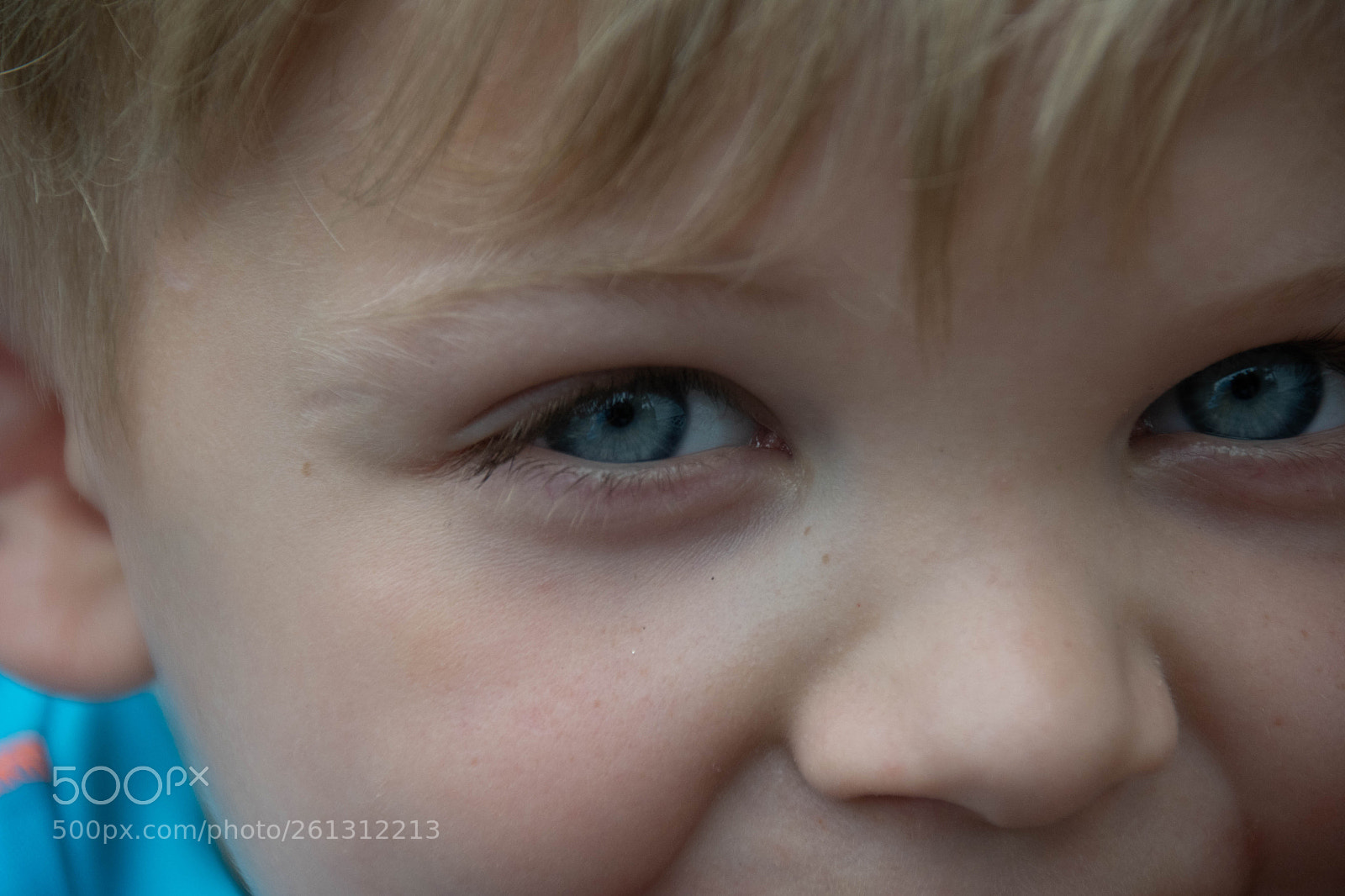 Nikon D500 sample photo. Bnb photos photography