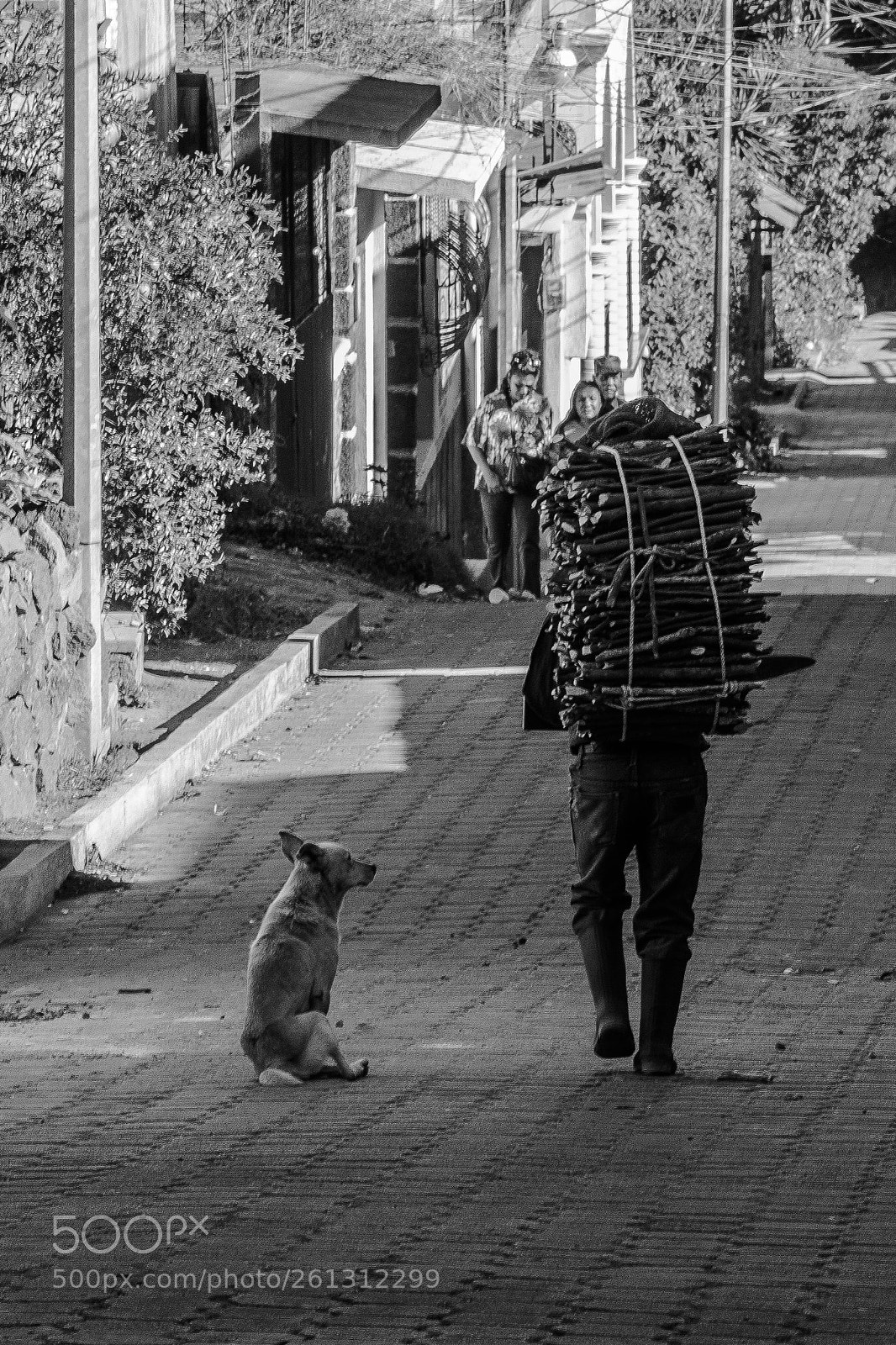 Nikon D5300 sample photo. Worker photography