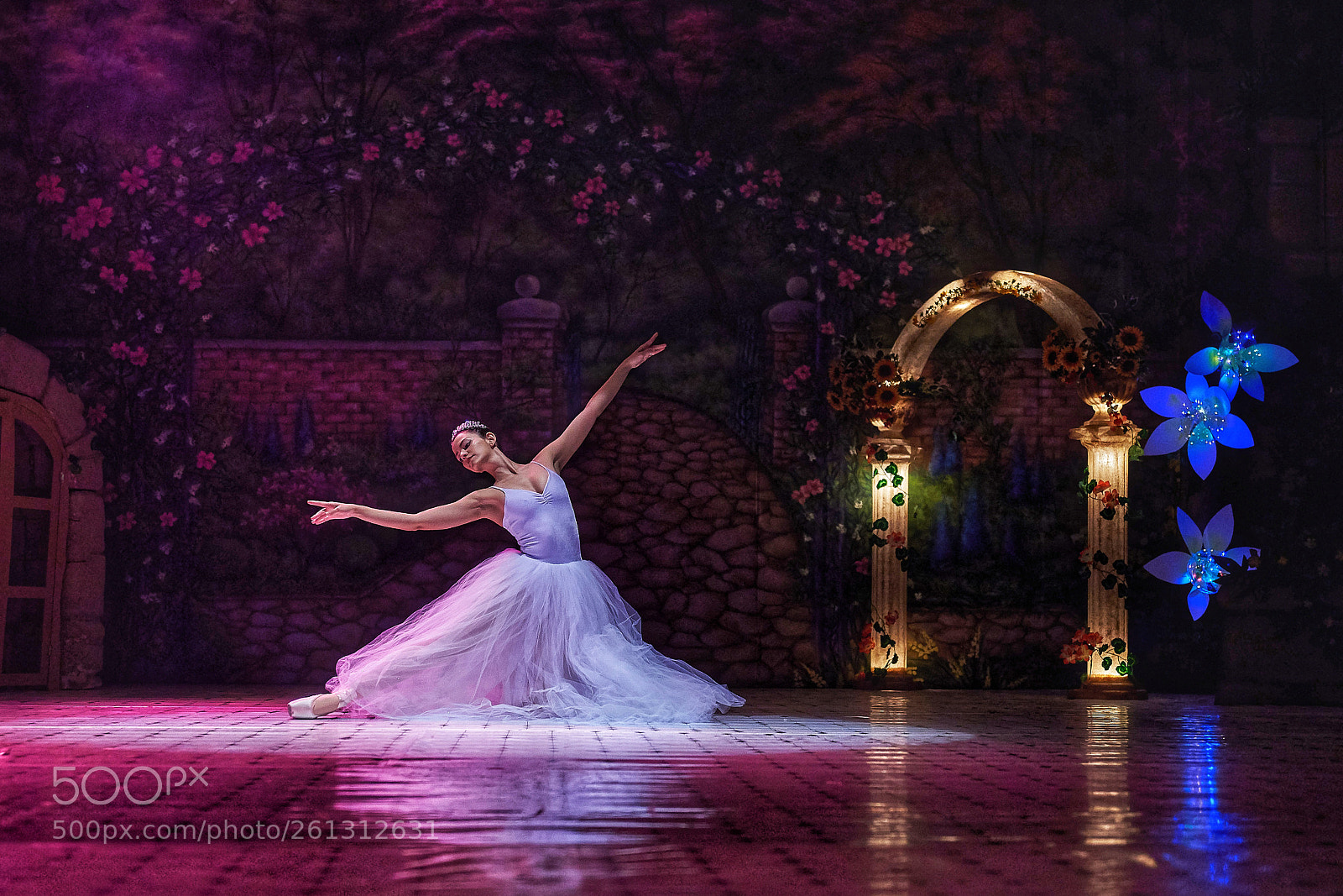 Nikon D750 sample photo. Ballerina photography