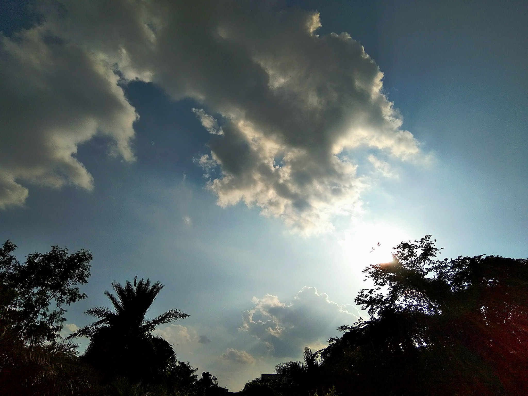 LeMobile Le X526 sample photo