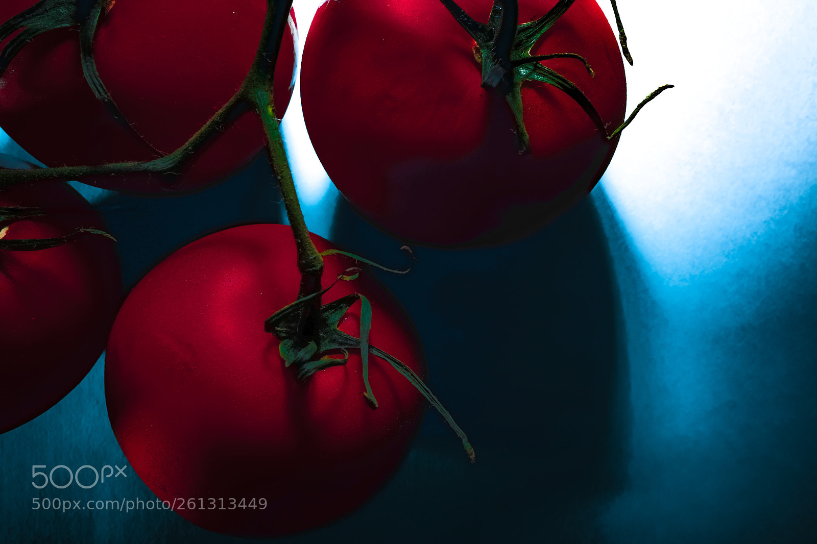 Fujifilm X-Pro2 sample photo. Tomato 2 photography