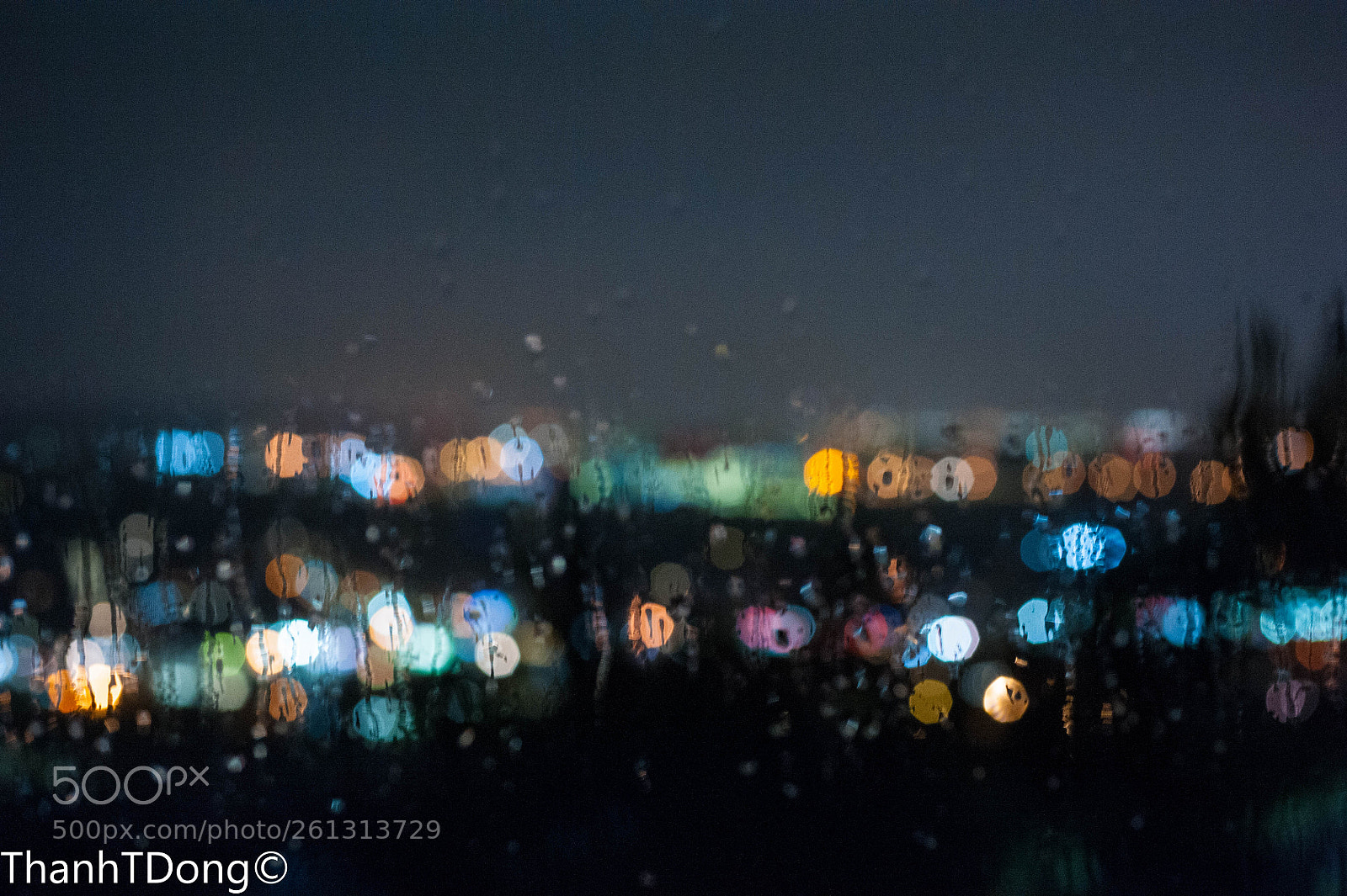 Nikon D700 sample photo. Rain on my window photography