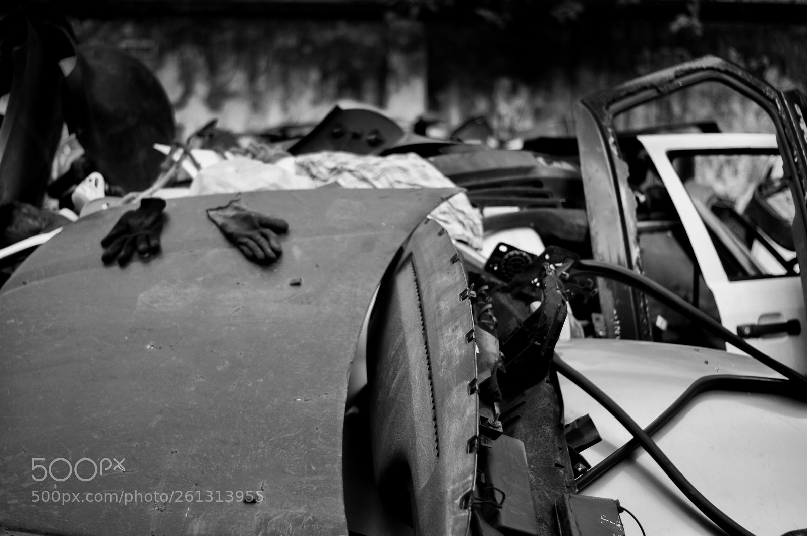 Nikon D5000 sample photo. Untitled photography