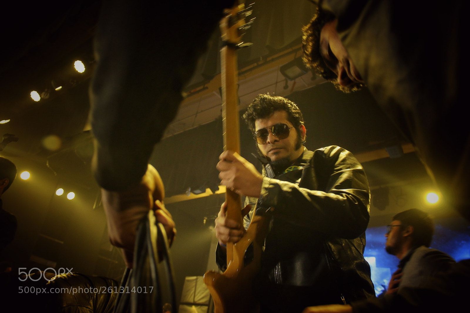 Canon EOS 70D sample photo. Band : arbovirus photography