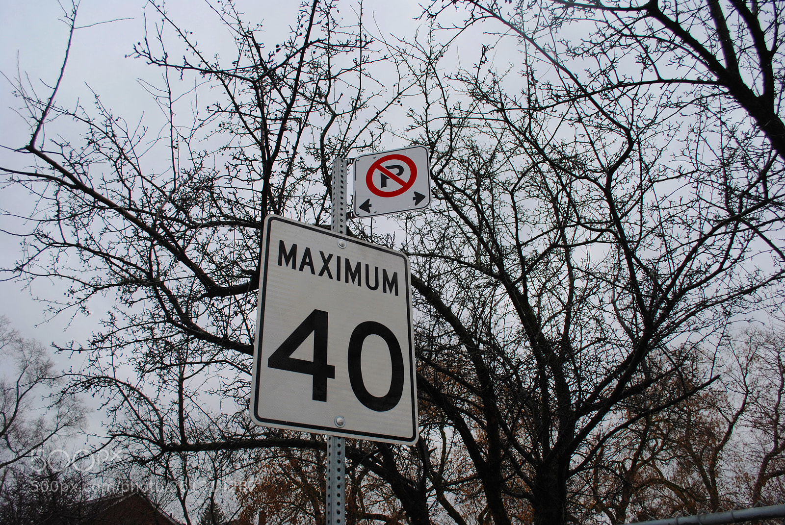 Nikon D3000 sample photo. Speed limit photography