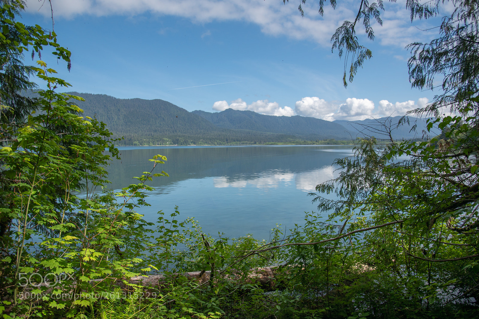 Nikon D750 sample photo. Lake quinault photography
