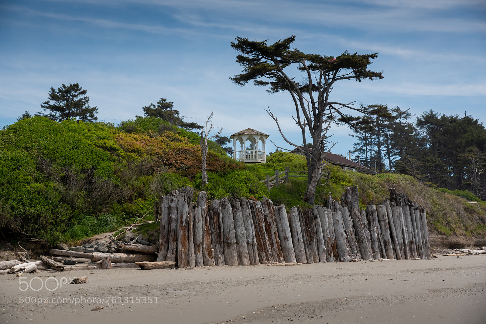 Nikon D750 sample photo. Beach photography