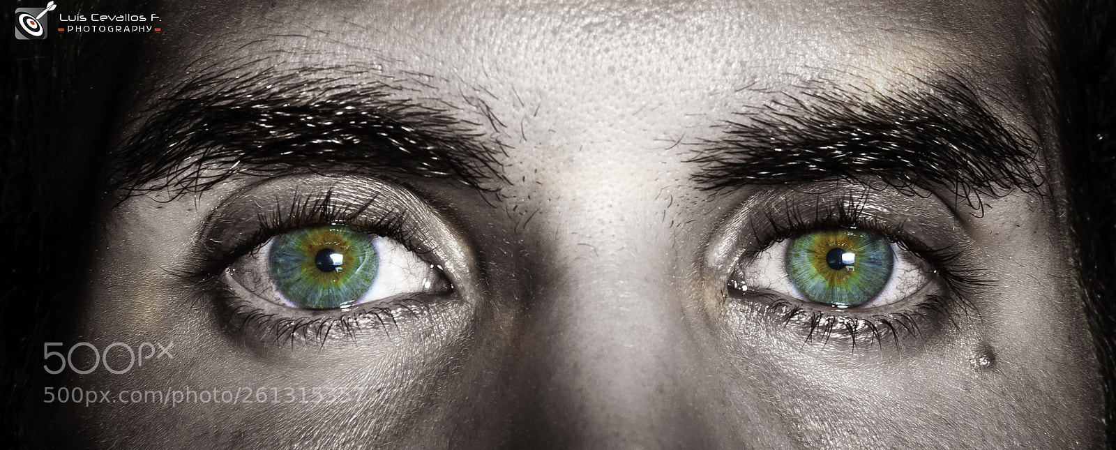 Nikon D610 sample photo. Riki ojos. photography