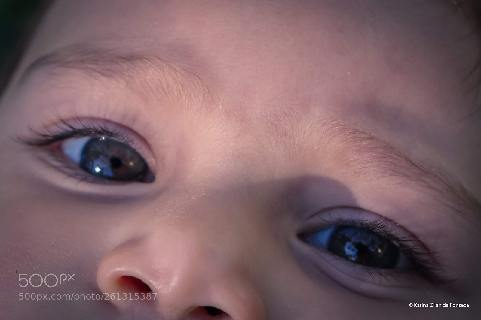 Canon EOS 600D (Rebel EOS T3i / EOS Kiss X5) sample photo. Olhar photography
