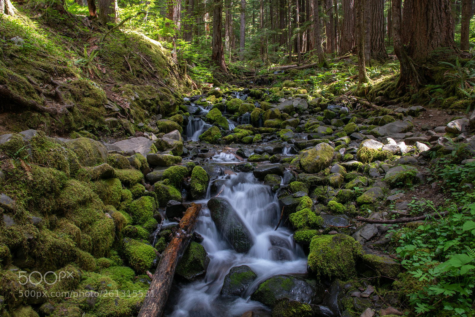 Nikon D750 sample photo. Green waterfall photography