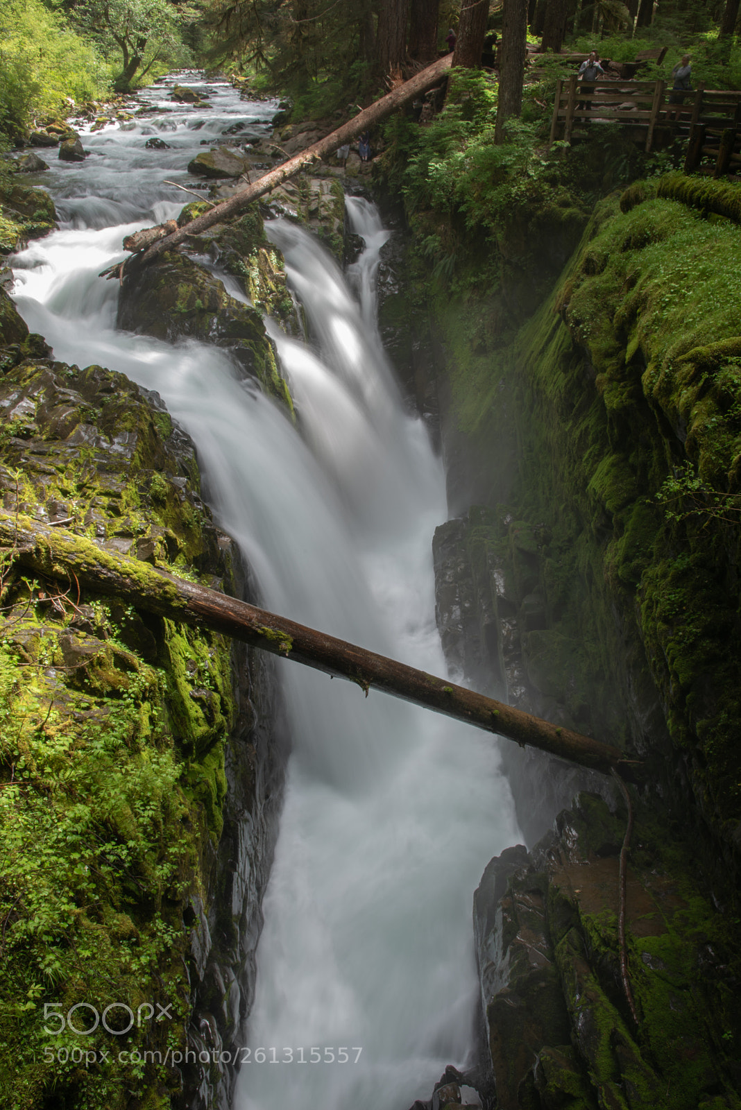 Nikon D750 sample photo. Waterfall photography