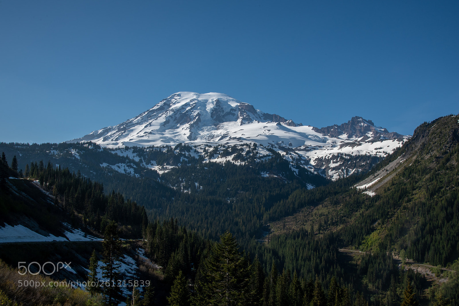 Nikon D750 sample photo. Mt rainier photography