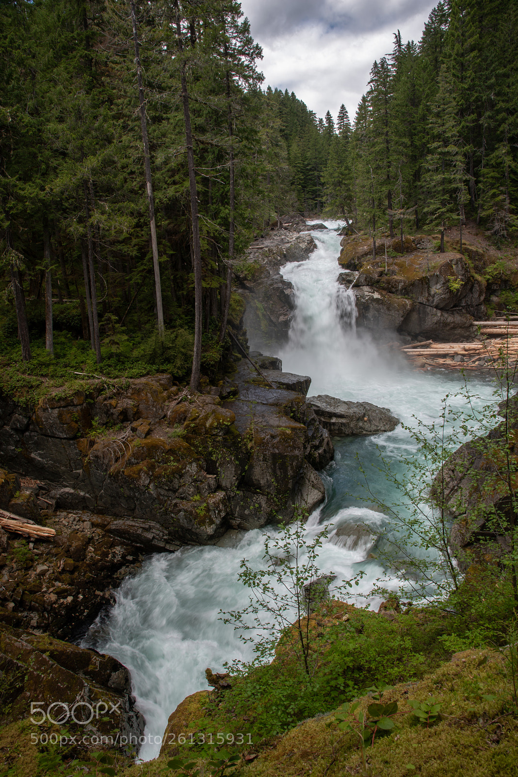 Nikon D750 sample photo. Green waterfalls photography