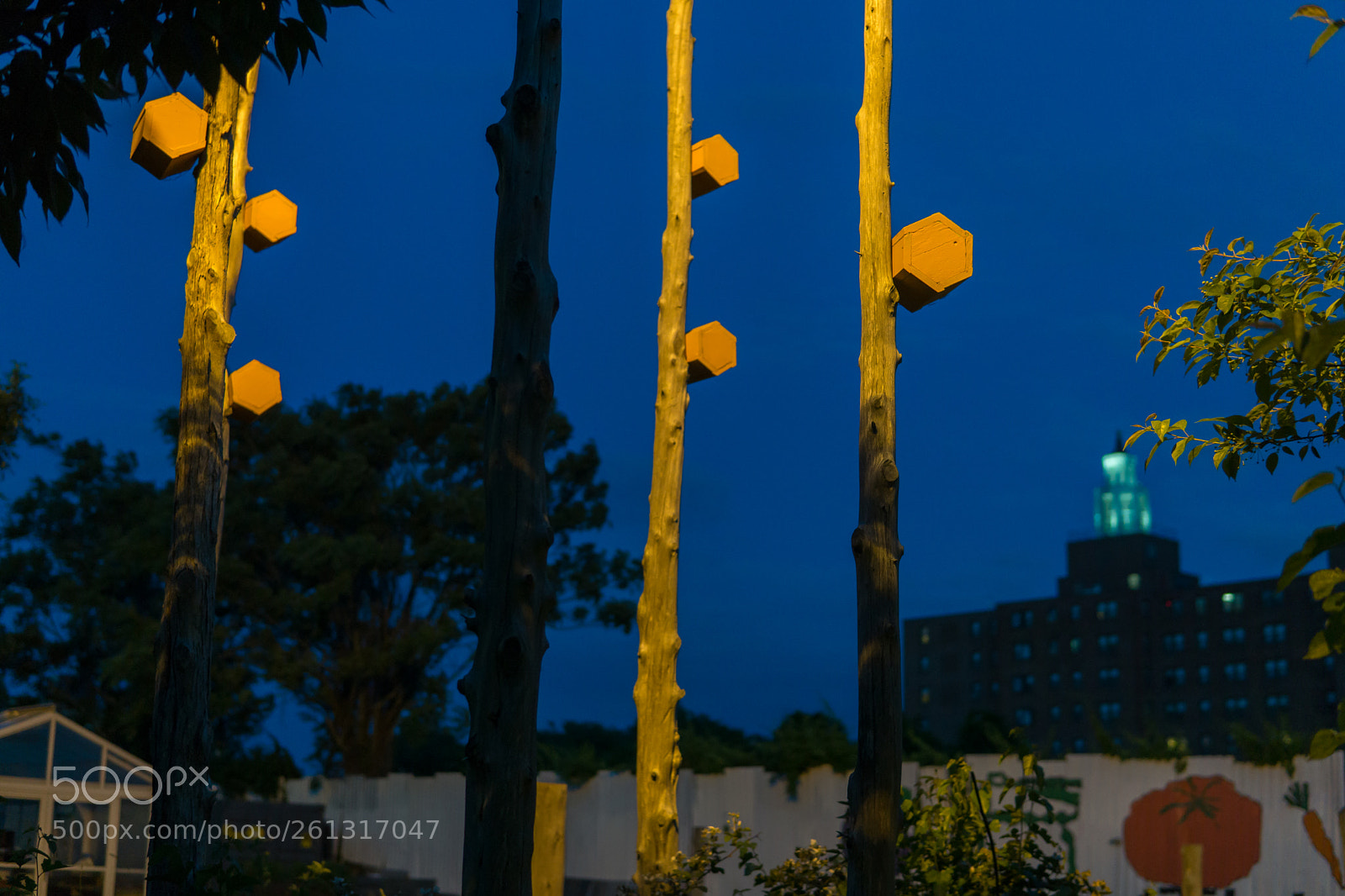 Sony a6000 sample photo. Dsc photography