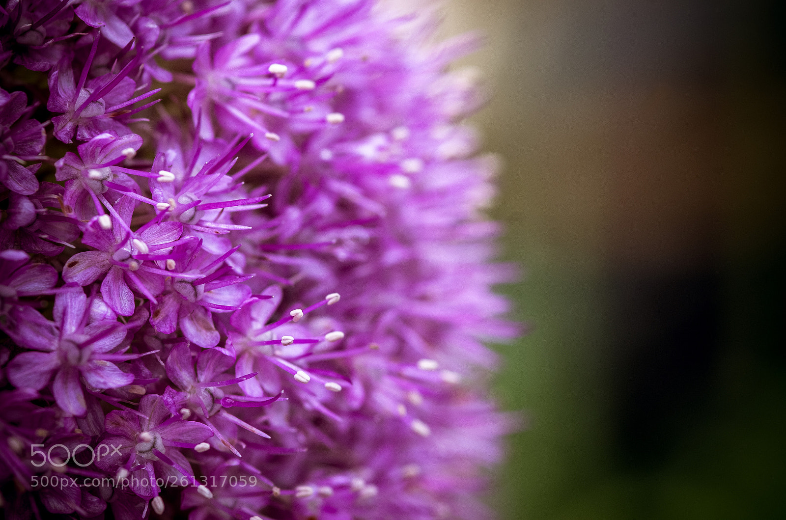 Pentax K-30 sample photo. Untitled photography
