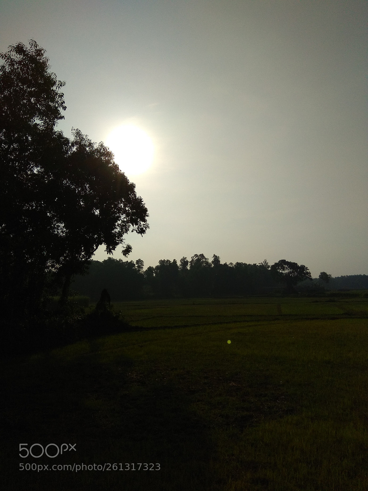 Xiaomi Redmi Note 4 sample photo. Untitled photography